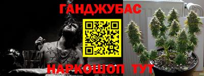 СК Краснознаменск
