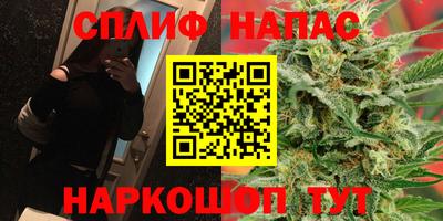 МДПВ Краснодар