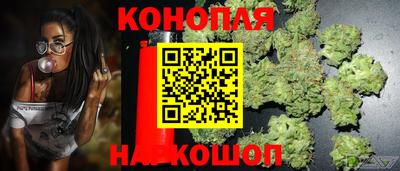 индика Краснокаменск